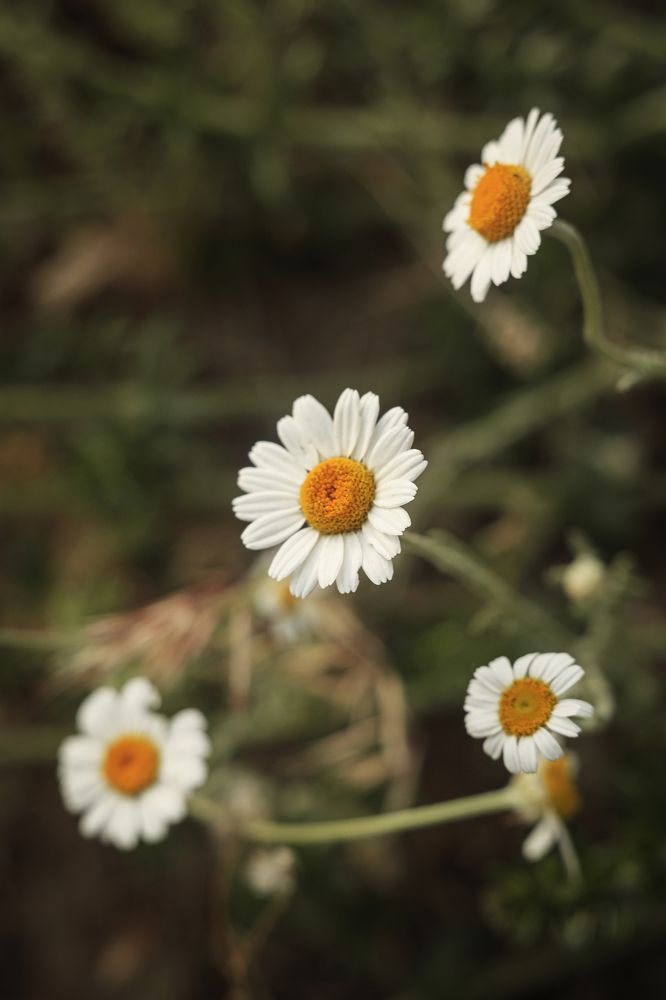 Photograph by Елена Власова