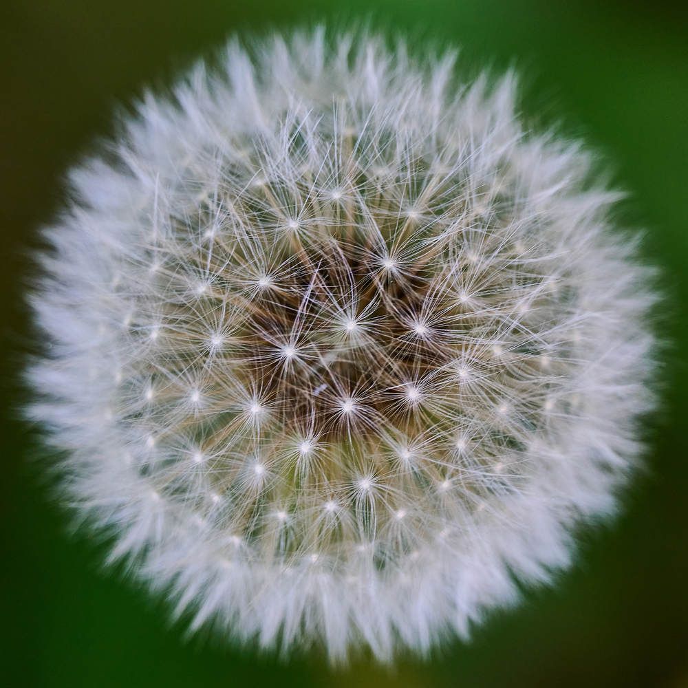 Photograph by Дмитрий Солодухин