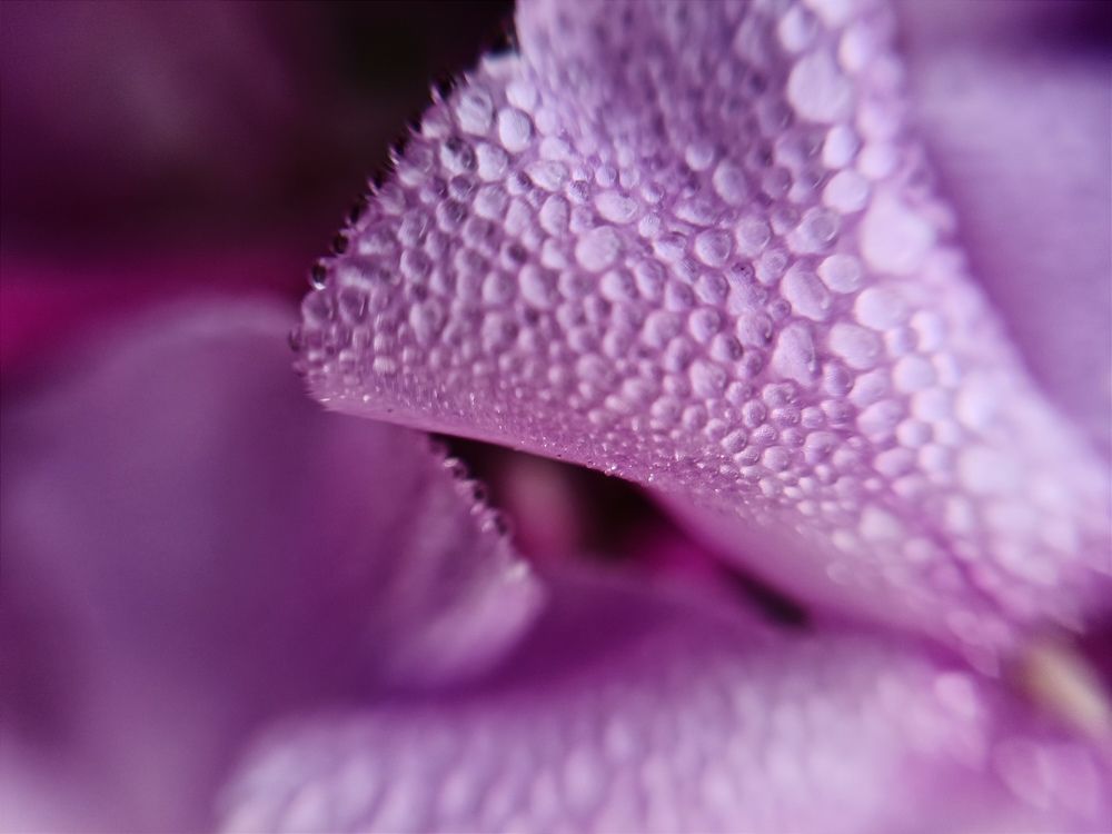 Photograph by Olga Kot