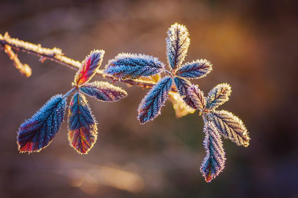 Photograph by Марина Мурашова