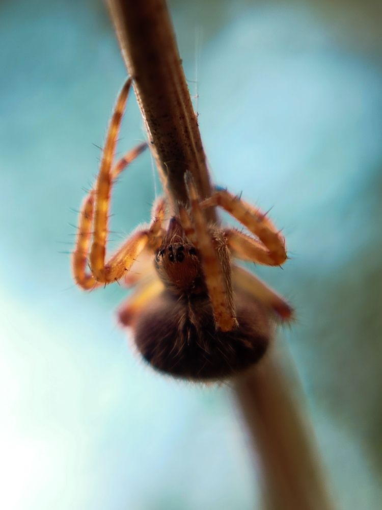 Photograph by Любовь Коровацкая