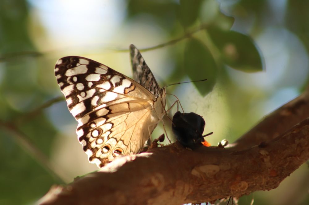 Photograph by Juliana