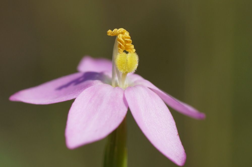 Photograph by Алексей Андреев