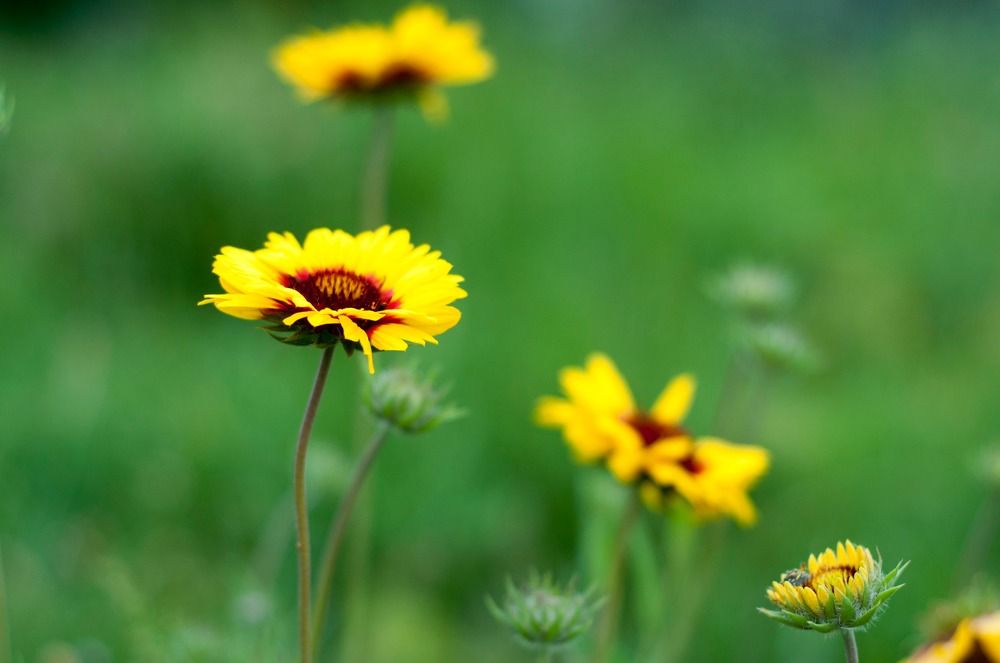 Photograph by Helena Proshkina