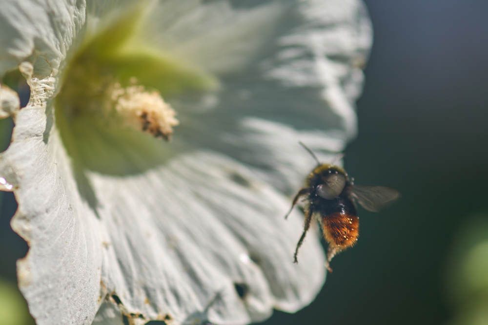 Photograph by Дмитрий Солодухин