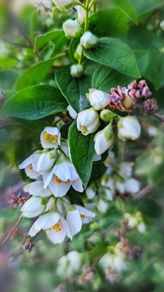 Photograph by Алла Холодова