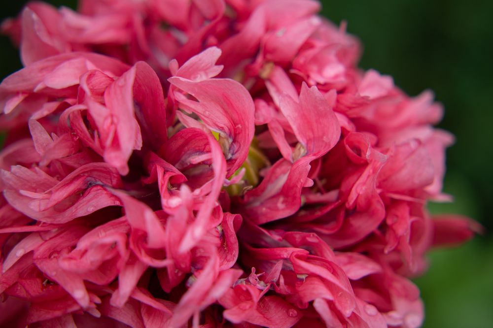 Photograph by Галина Ноздрина