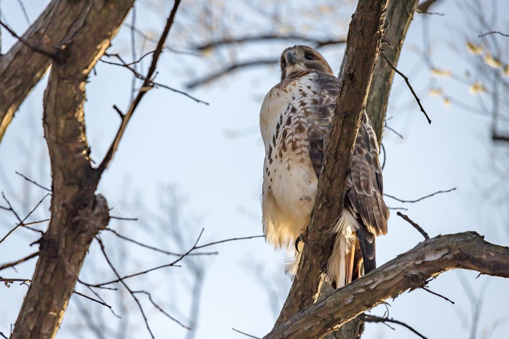 Photograph by Кермен Манджиева