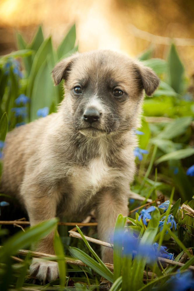 Photograph by Евгения Грачева