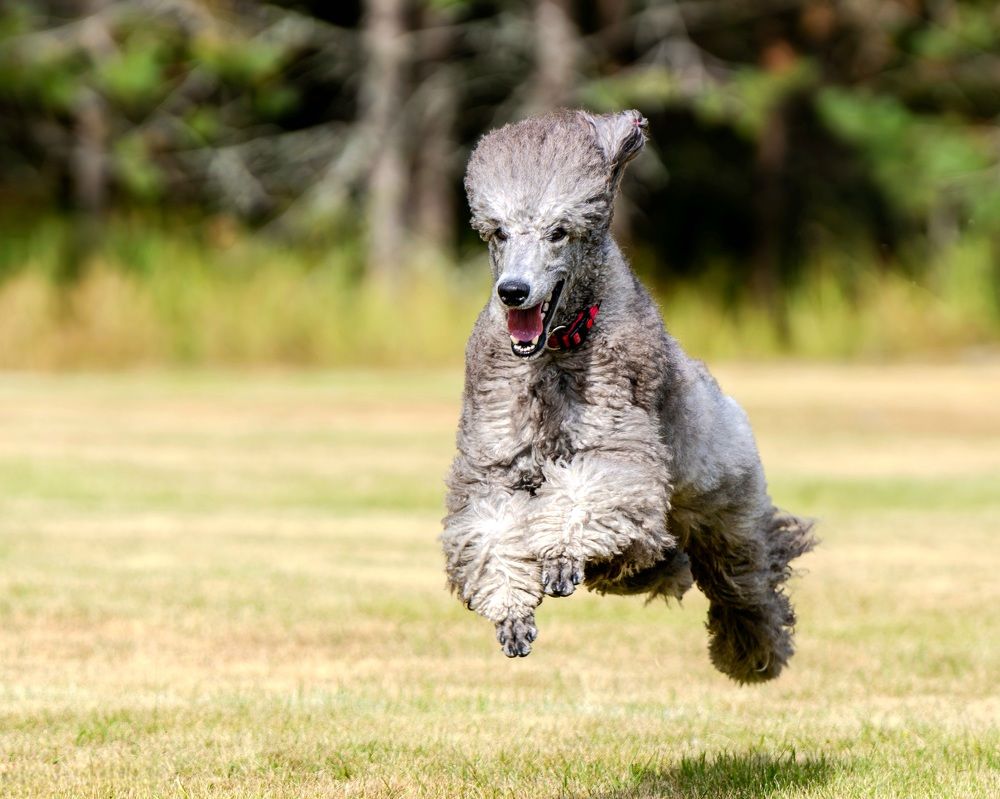 Photograph by Сергей Жиркевич