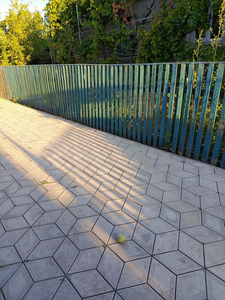 Photograph by Татьяна Пальчикова