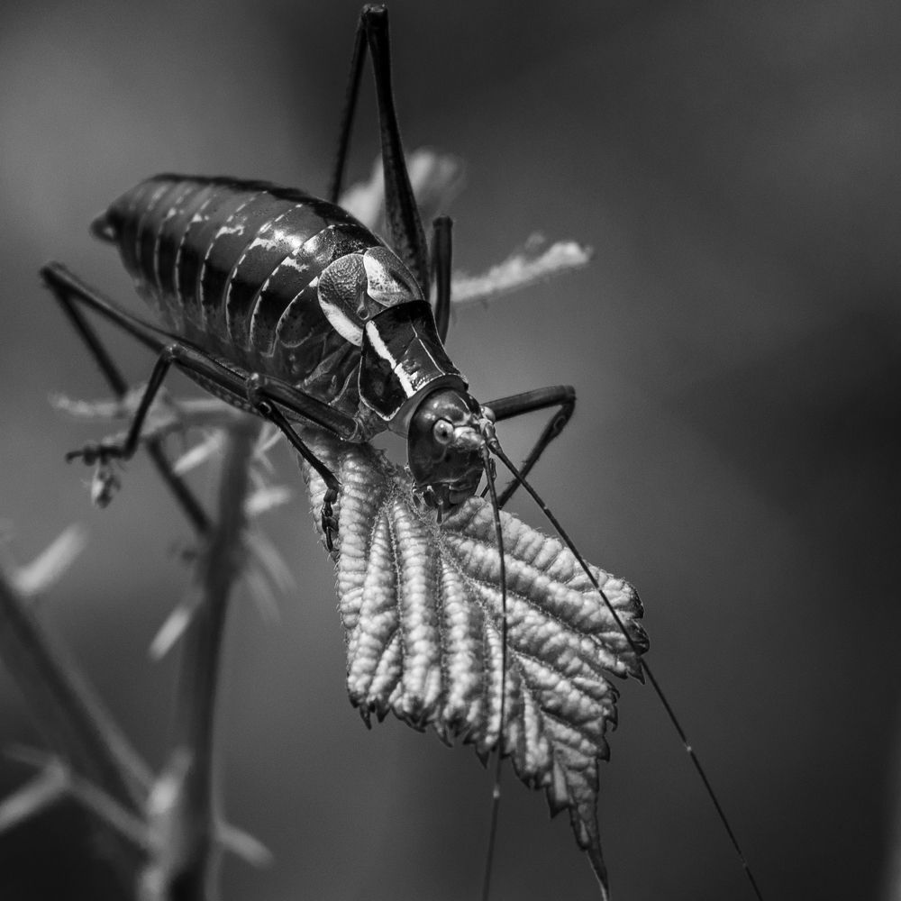 Photograph by Анна Стрелковская