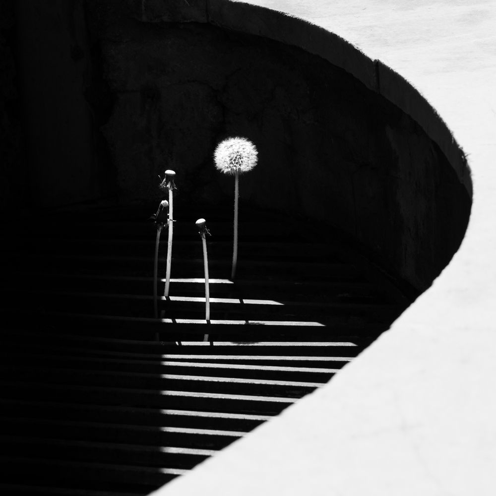 Photograph by Анна Стрелковская