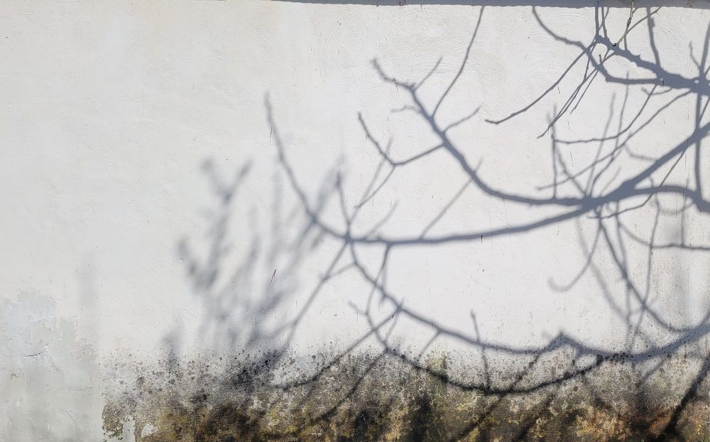 Photograph by Rahele Almassi