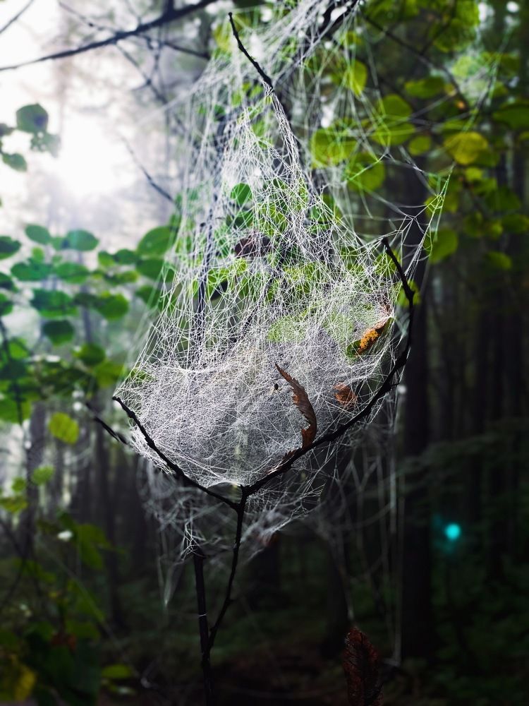 Photograph by Катерина