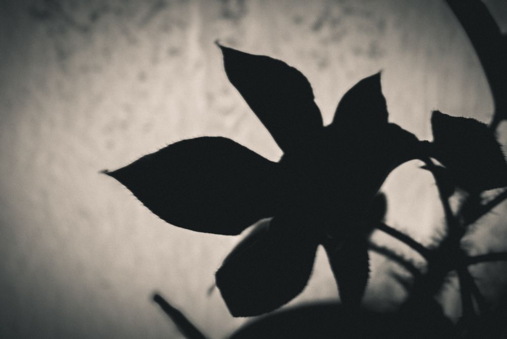 Photograph by Efrain Castro