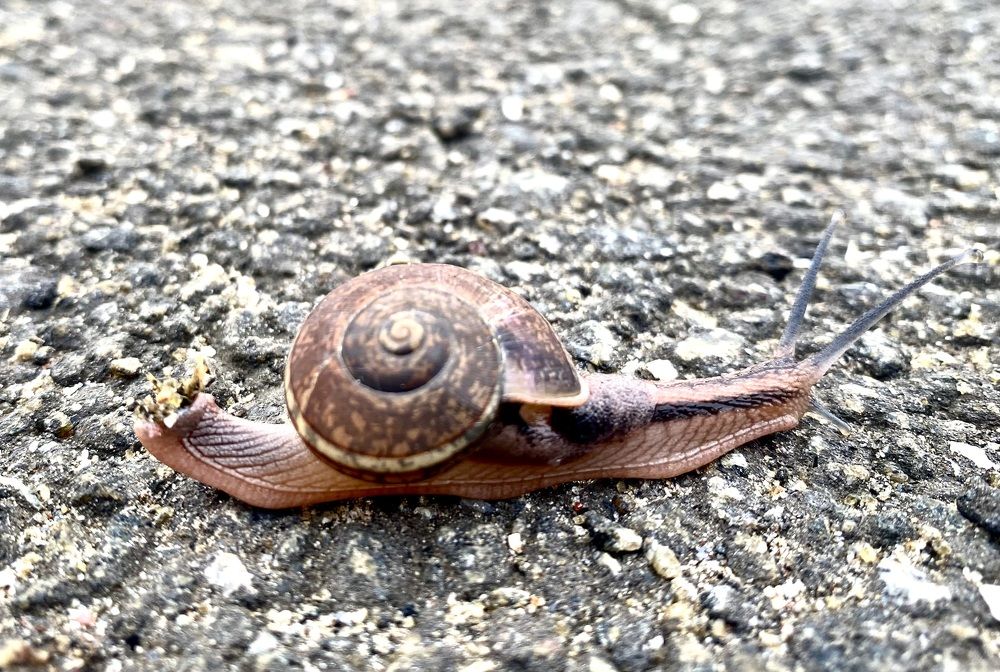 Photograph by Prabhu Viswanathan