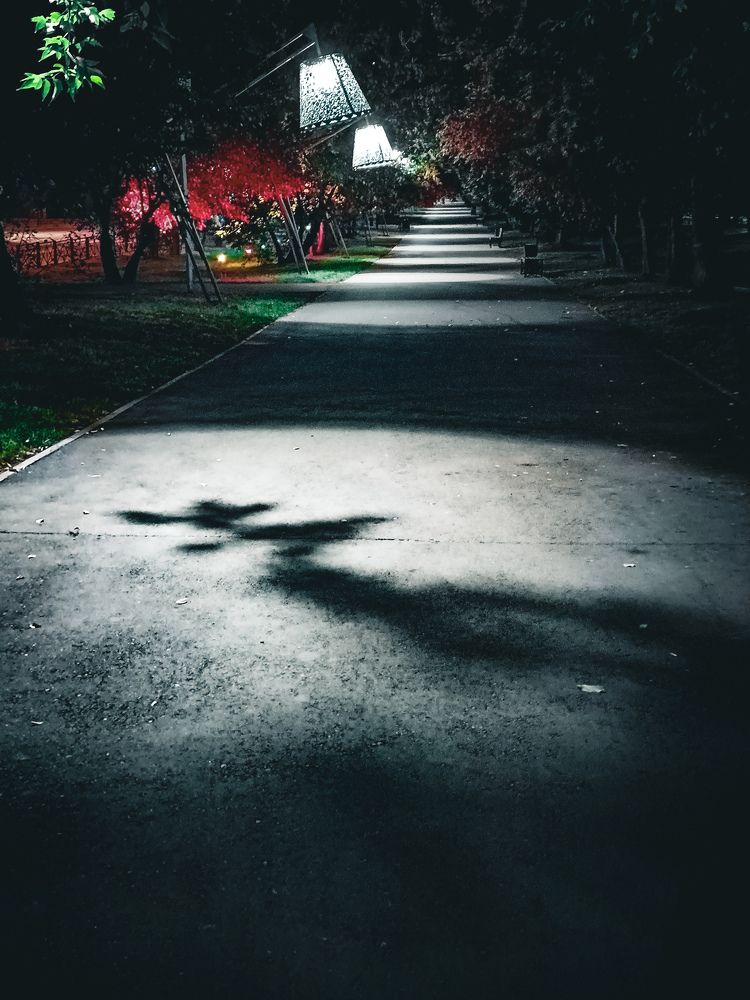 Photograph by Владимир Сушкин