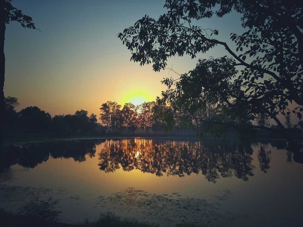Water reflection of Sunset between the woods.