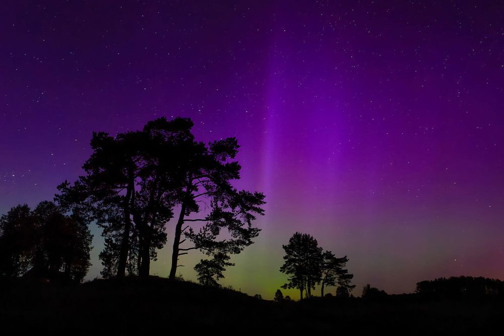 Photograph by Gintautas Antanavicius