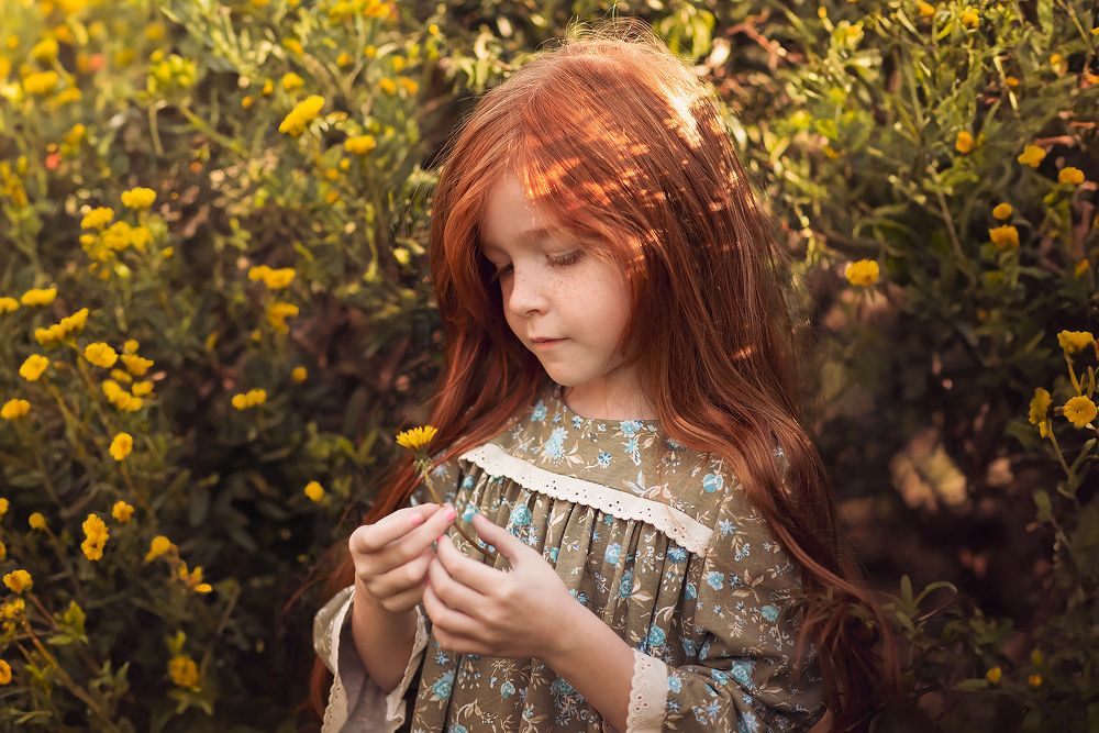 Фотография автора Iris Karina