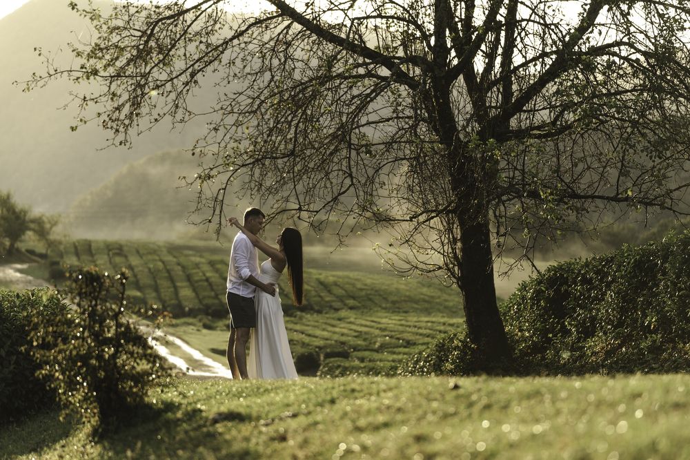 Влюблённые на чайной плантации