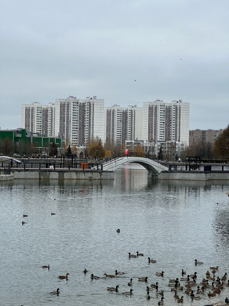 Photograph by Татьяна