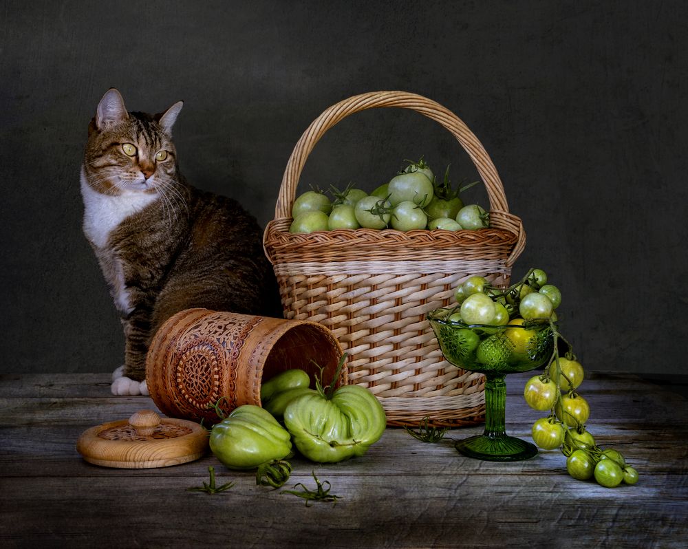 Про кота и зеленые помидоры.
