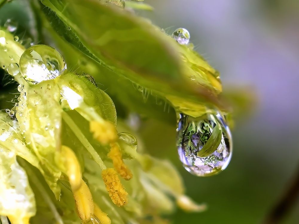 Photograph by Валерий Петров