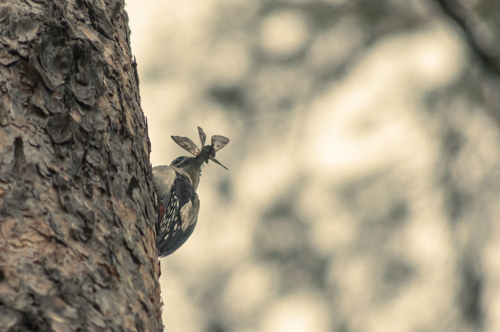 Photograph by Евгений Кузьмин