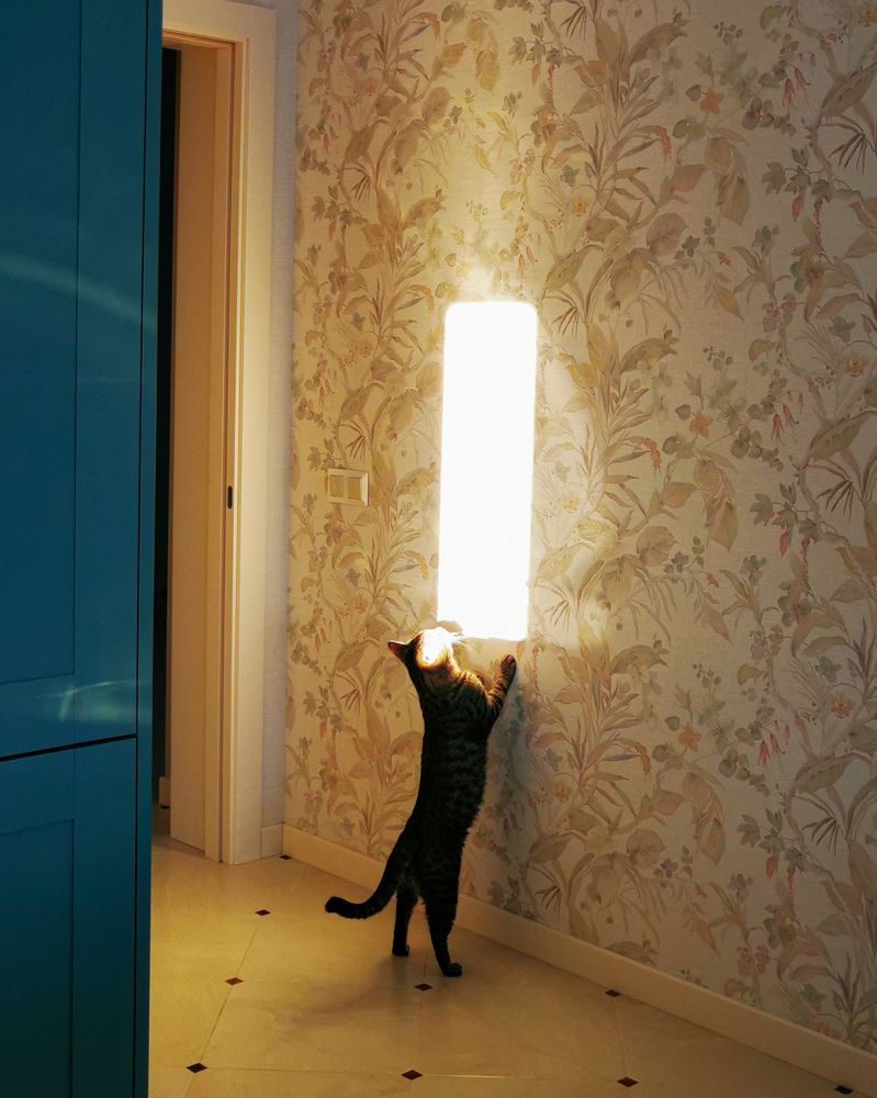 Photograph by Наталья Асоскова