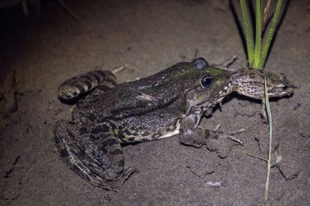 Photograph by Ольга Демидова