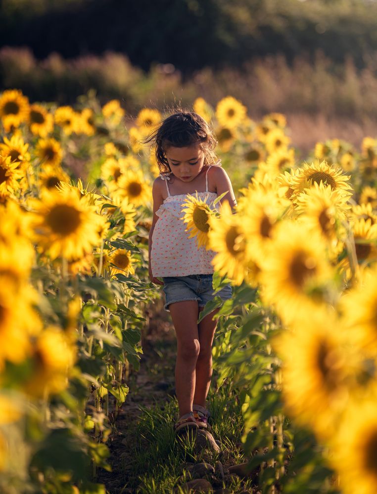Photograph by Jorge Sastre
