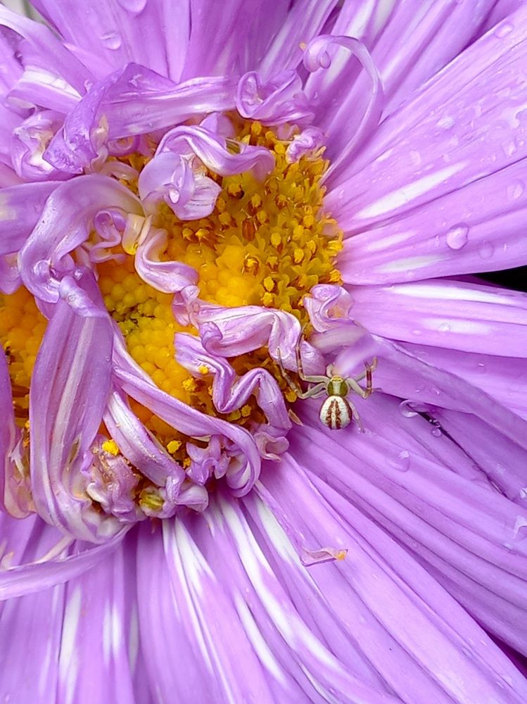 Photograph by Яна