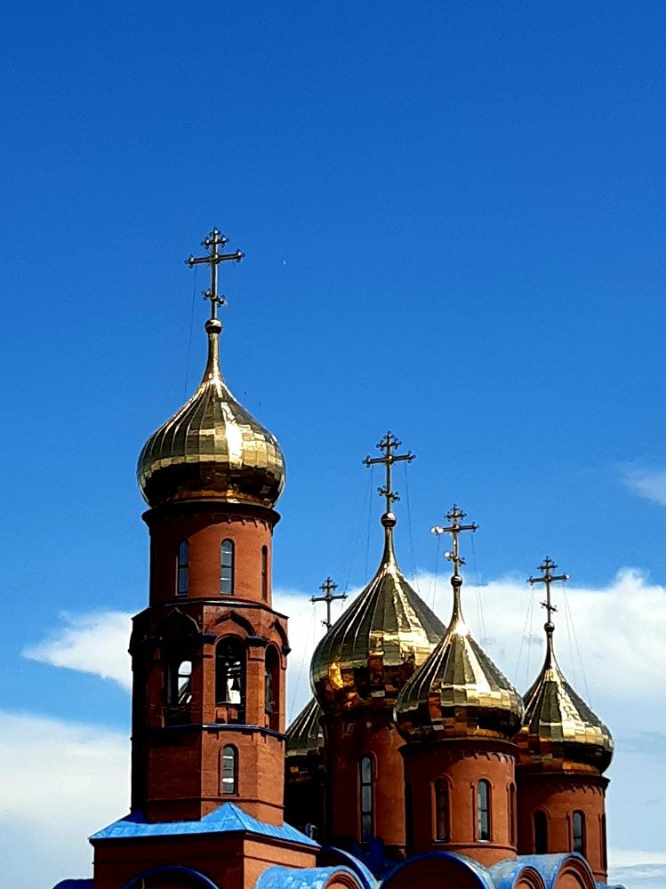 Фотография автора Наталья Шендяпина