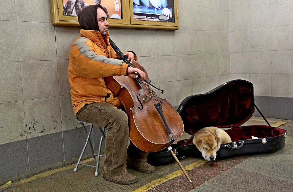 Photograph by Владимир Говоров