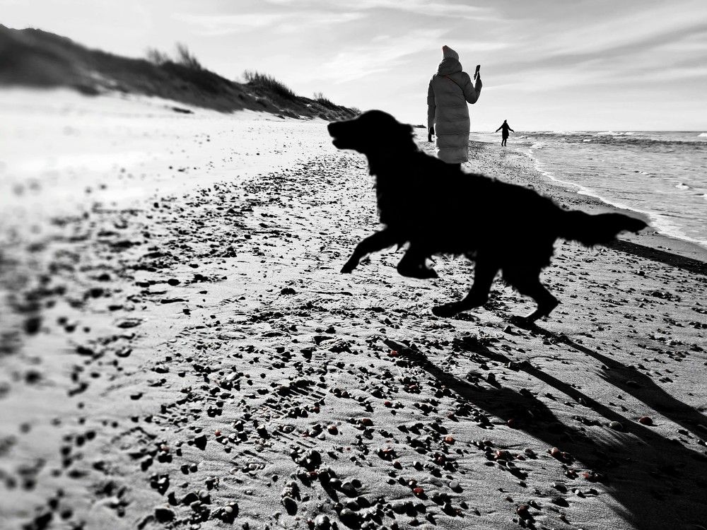 Photograph by Сергей Берез