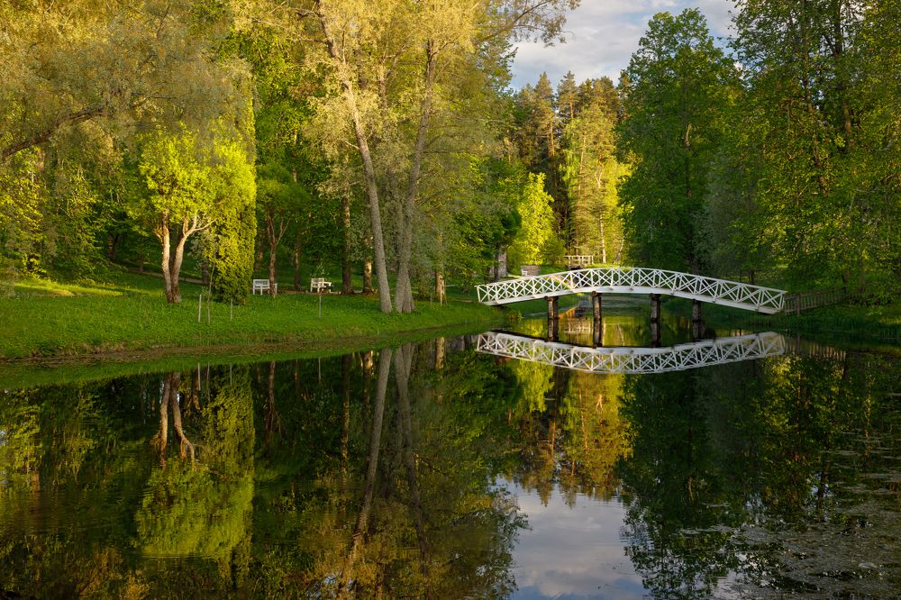 Photograph by Мария Казакова