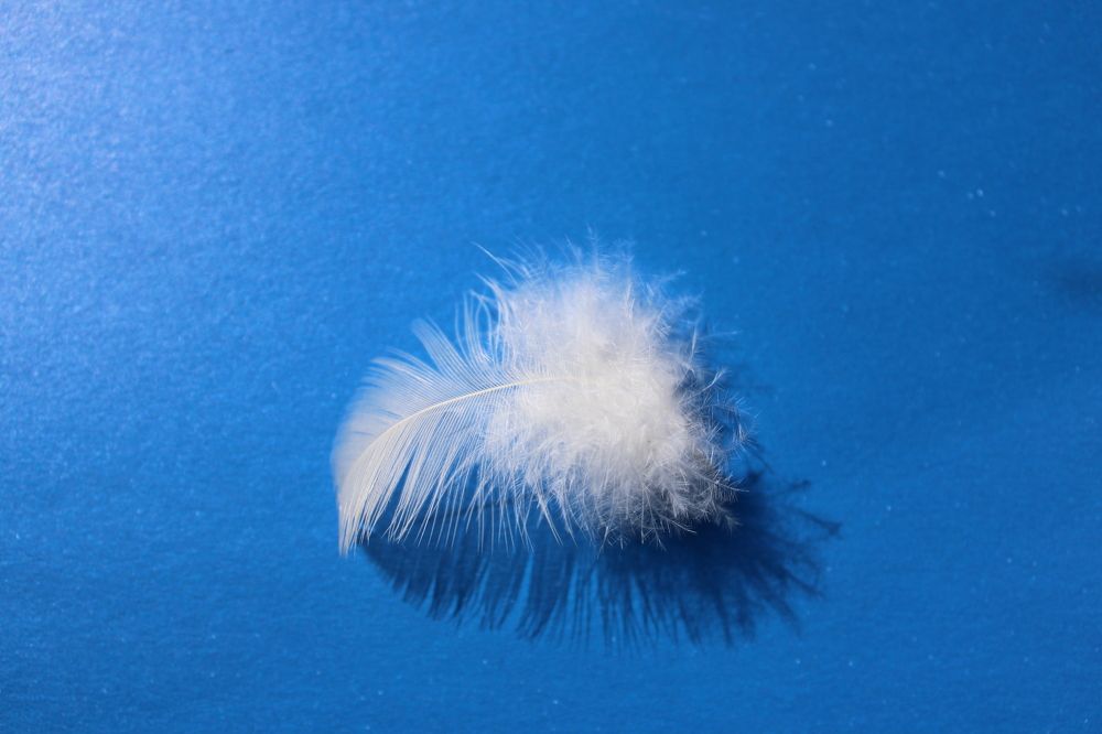 Photograph by Елена Коробченко