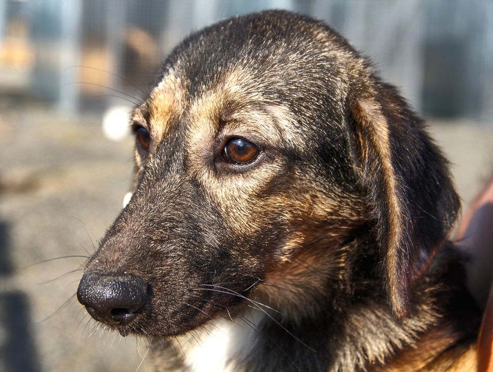 Фотография автора Наталия Мащенко
