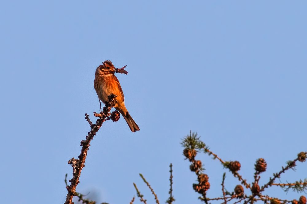 Photograph by Виктор Сёмушкин