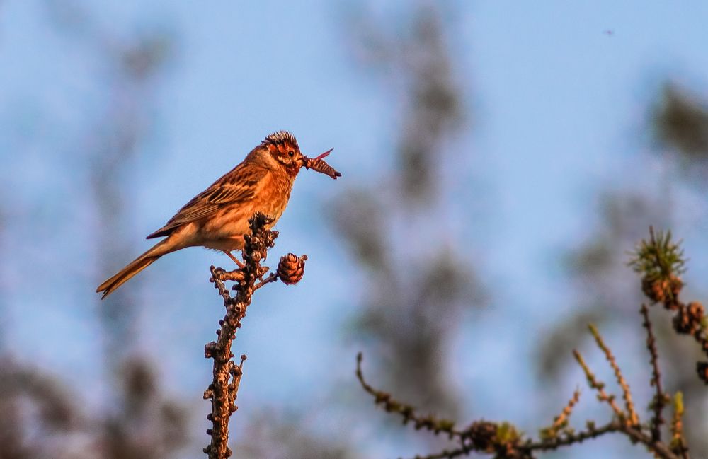 Photograph by Виктор Сёмушкин