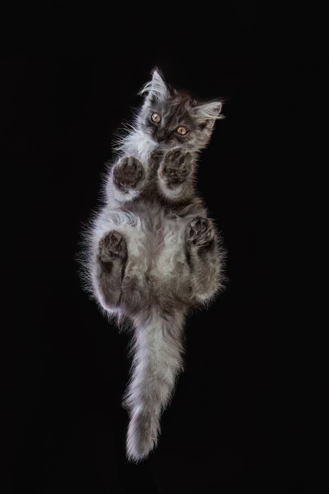 Photograph by GRISELDA FERNANDEZ