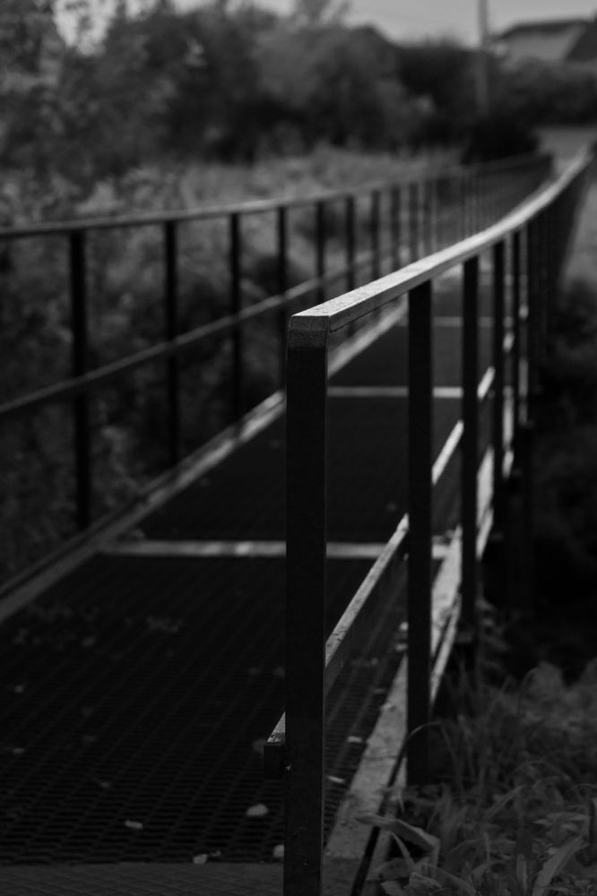 Photograph by Nikolay Serfoord