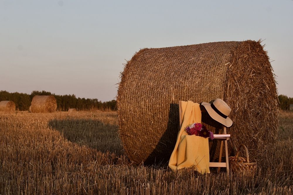 Photograph by Лариса Белашова