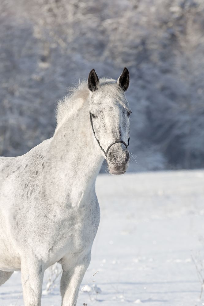 Photograph by Наталья Матюхина