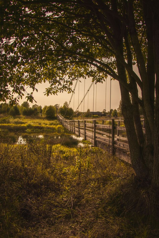 Photograph by Victoria Popkova