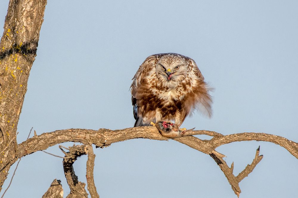 Photograph by константин