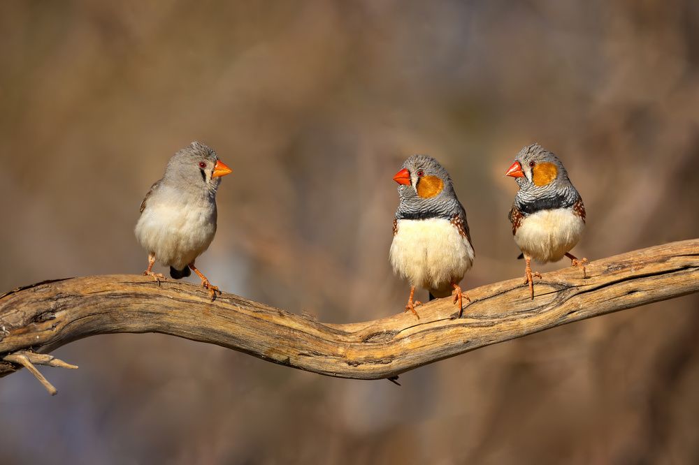 Photograph by Alexander Babych