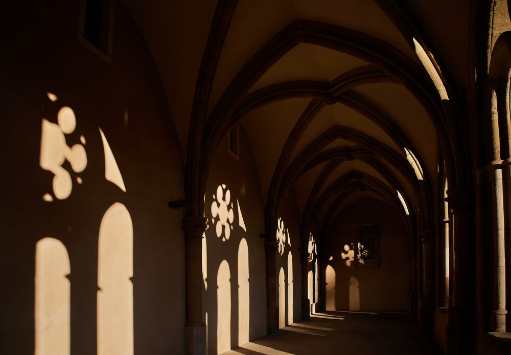 Фотография автора Ekaterina Palant